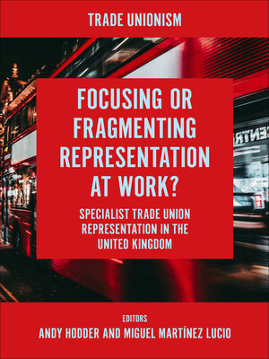 cover image of Focusing or Fragmenting Representation at Work?